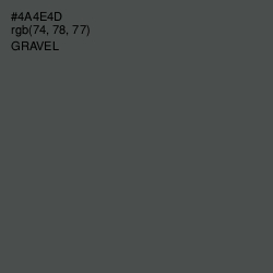#4A4E4D - Gravel Color Image