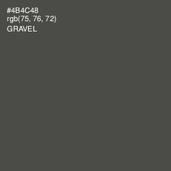 #4B4C48 - Gravel Color Image