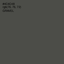 #4C4C48 - Gravel Color Image