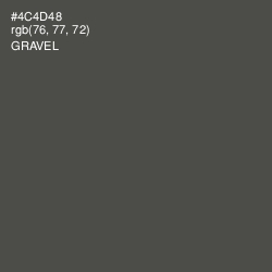 #4C4D48 - Gravel Color Image