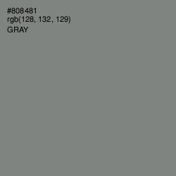 #808481 - Gray Color Image