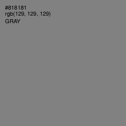 #818181 - Gray Color Image