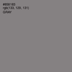 #858183 - Gray Color Image