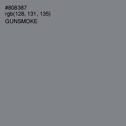 #808387 - Gunsmoke Color Image