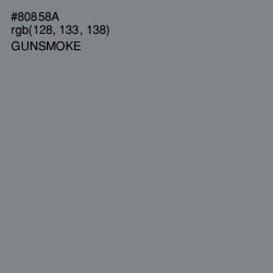 #80858A - Gunsmoke Color Image