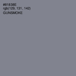 #81838E - Gunsmoke Color Image