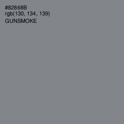 #82868B - Gunsmoke Color Image