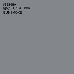 #83868A - Gunsmoke Color Image