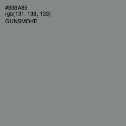 #838A85 - Gunsmoke Color Image