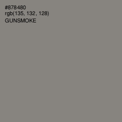 #878480 - Gunsmoke Color Image