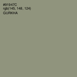 #91947C - Gurkha Color Image