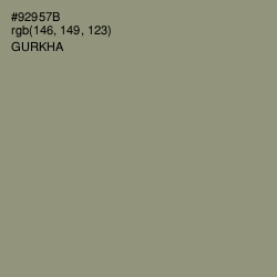 #92957B - Gurkha Color Image