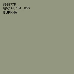 #93977F - Gurkha Color Image