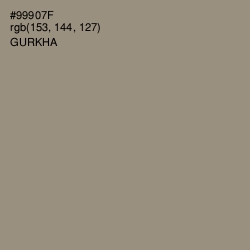 #99907F - Gurkha Color Image