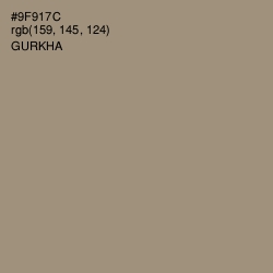 #9F917C - Gurkha Color Image