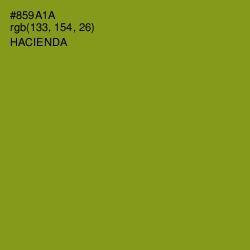 #859A1A - Hacienda Color Image