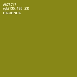 #878717 - Hacienda Color Image