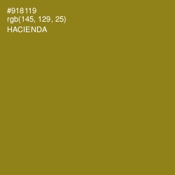 #918119 - Hacienda Color Image