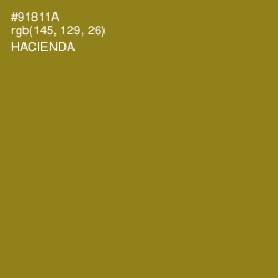 #91811A - Hacienda Color Image