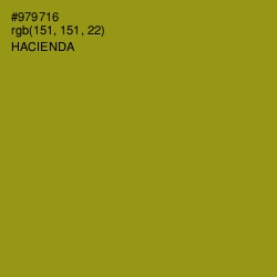 #979716 - Hacienda Color Image