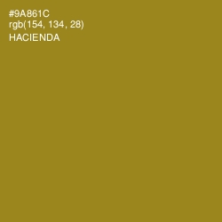 #9A861C - Hacienda Color Image