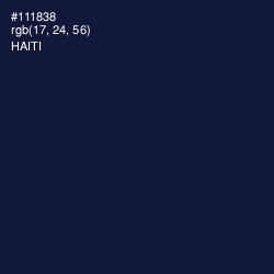 #111838 - Haiti Color Image
