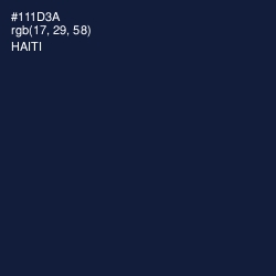 #111D3A - Haiti Color Image