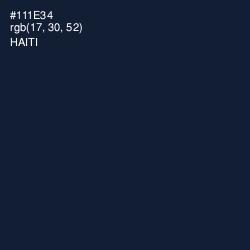 #111E34 - Haiti Color Image