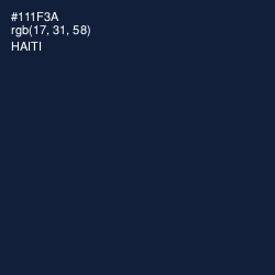 #111F3A - Haiti Color Image