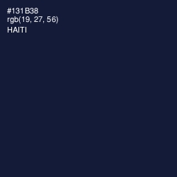 #131B38 - Haiti Color Image