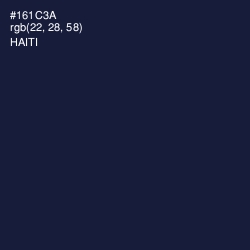 #161C3A - Haiti Color Image