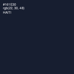 #161E30 - Haiti Color Image