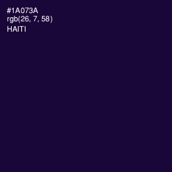 #1A073A - Haiti Color Image