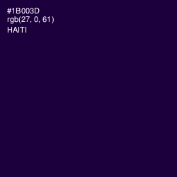 #1B003D - Haiti Color Image