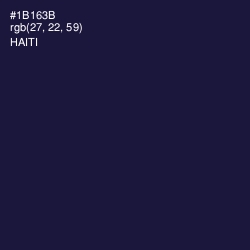 #1B163B - Haiti Color Image