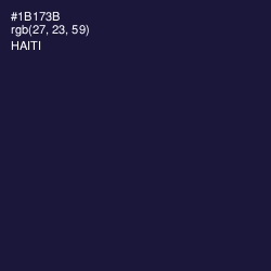 #1B173B - Haiti Color Image