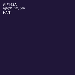 #1F163A - Haiti Color Image
