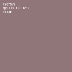 #907579 - Hemp Color Image
