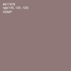 #917878 - Hemp Color Image