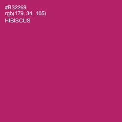 #B32269 - Hibiscus Color Image