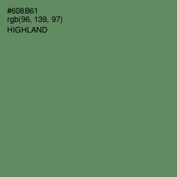 #608B61 - Highland Color Image