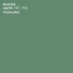 #62896E - Highland Color Image