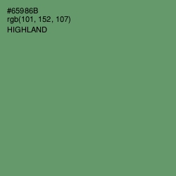 #65986B - Highland Color Image