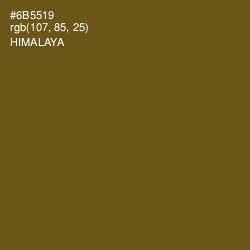 #6B5519 - Himalaya Color Image
