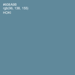 #608A9B - Hoki Color Image