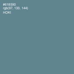 #618590 - Hoki Color Image