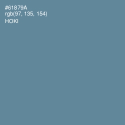 #61879A - Hoki Color Image