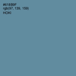 #618B9F - Hoki Color Image