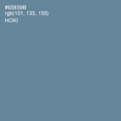 #65859B - Hoki Color Image