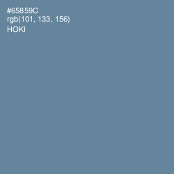 #65859C - Hoki Color Image